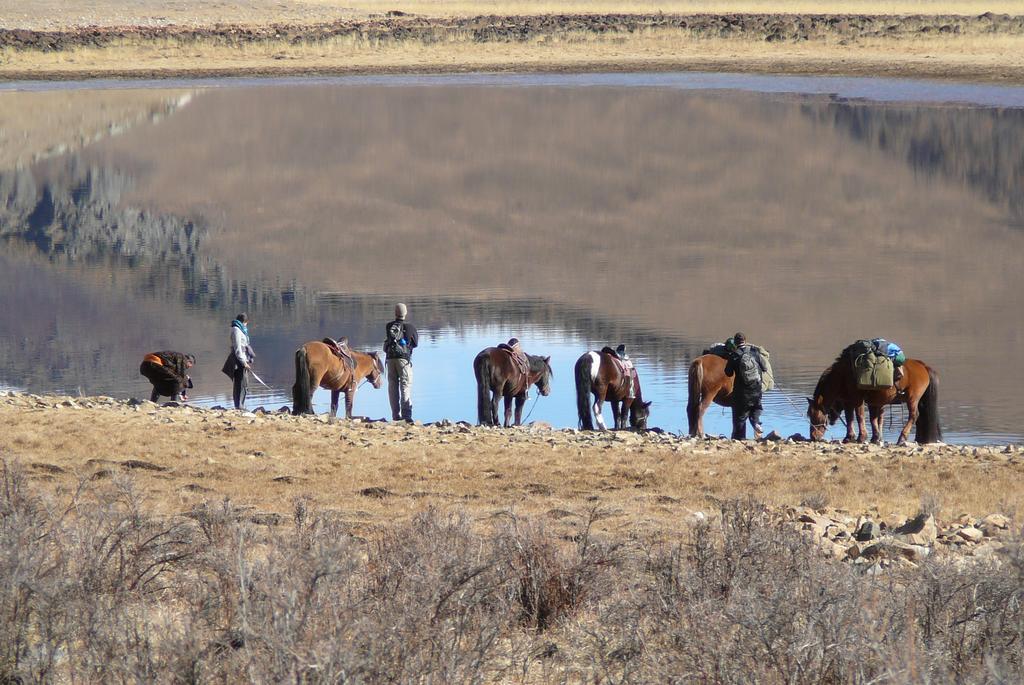 Golden Gobi Hostel & Tours Уланбатар Екстериор снимка