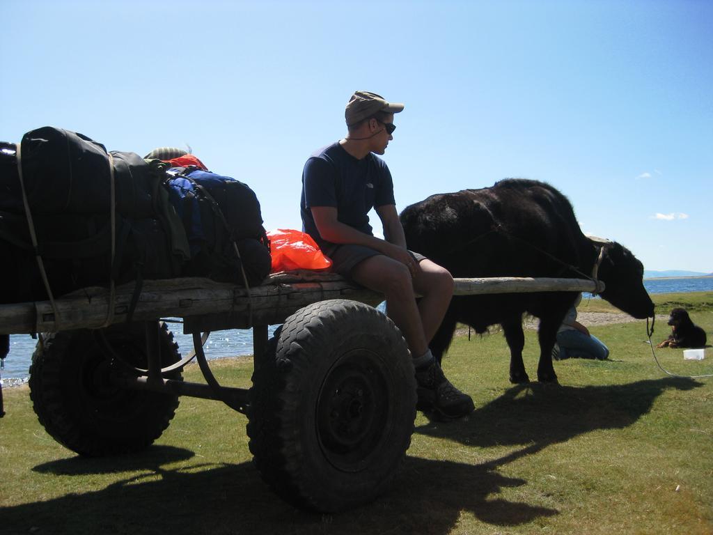 Golden Gobi Hostel & Tours Уланбатар Екстериор снимка
