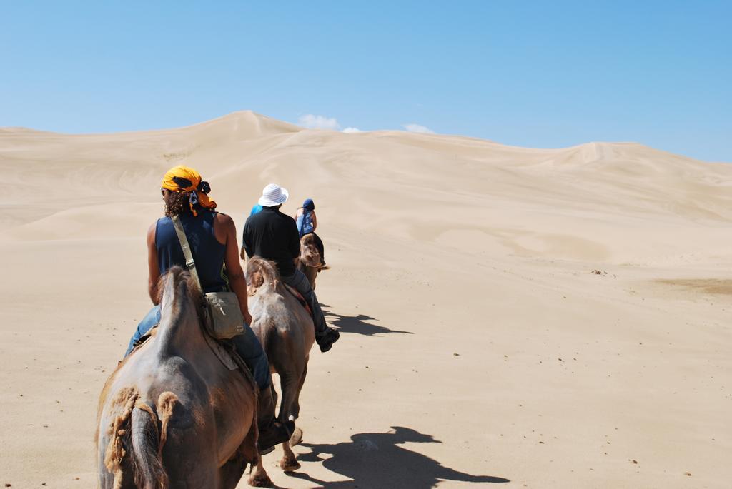 Golden Gobi Hostel & Tours Уланбатар Екстериор снимка