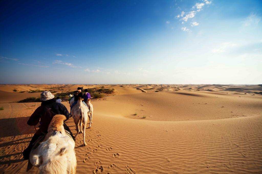 Golden Gobi Hostel & Tours Уланбатар Екстериор снимка